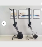 Commercial Air Rower