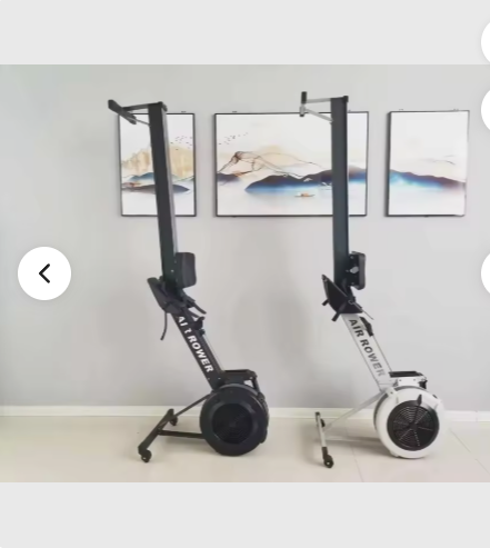 Commercial Air Rower